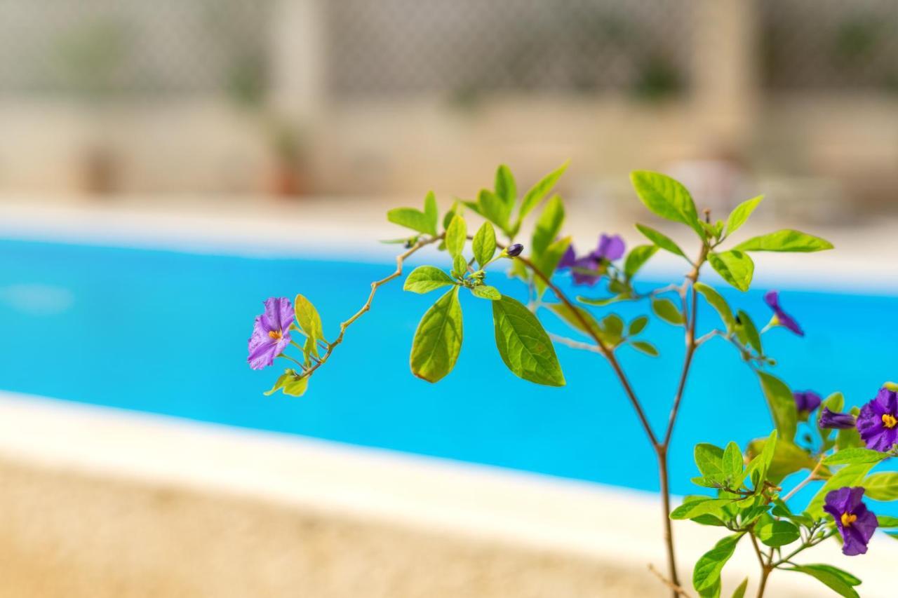 Hiona Holiday Hotel Παλαίκαστρο Εξωτερικό φωτογραφία